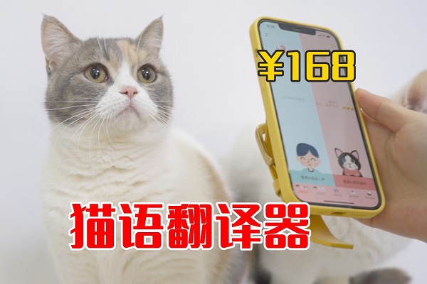 萌寵翻譯軟件