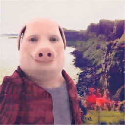 動(dòng)物世界大作戰(zhàn)