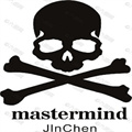 植物大戰(zhàn)僵尸骷髏