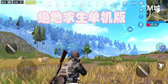 山寨版絕地求生