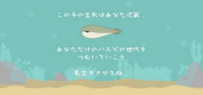 飼養(yǎng)薩卡班甲魚游戲叫什么-飼養(yǎng)薩卡班甲魚小游戲大全