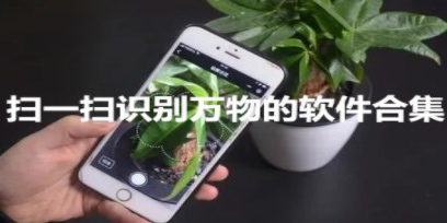 掃一掃識別萬物
