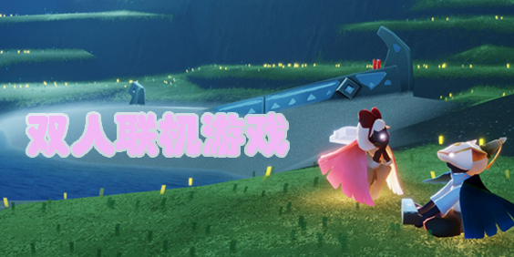雙人聯(lián)機(jī)