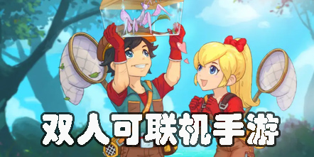 雙人可聯(lián)機(jī)手游