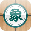 中國象棋大師2010
