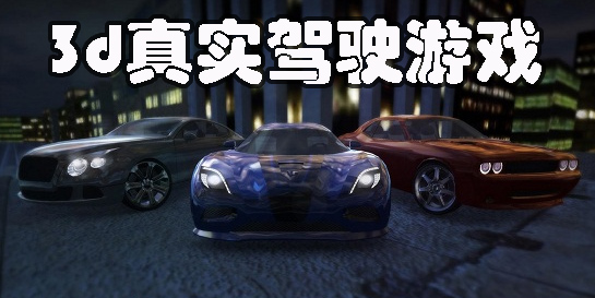 3d真實(shí)駕駛