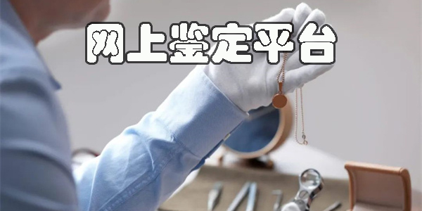 網(wǎng)上鑒定平臺(tái)