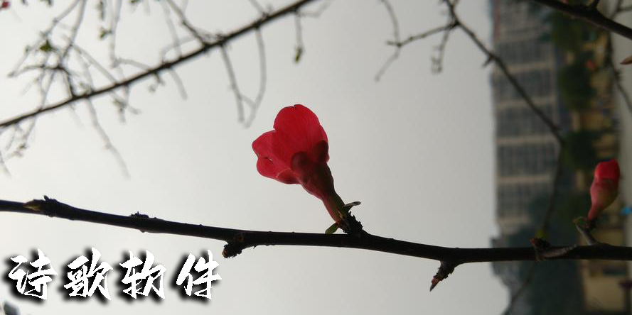 詩(shī)歌軟件