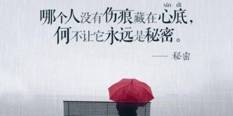情感語錄軟件