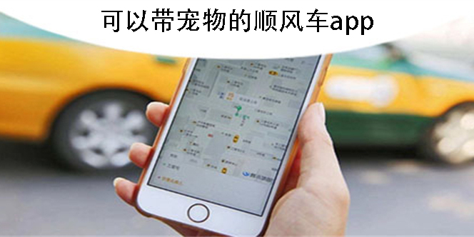 有什么平臺(tái)可以順風(fēng)車帶寵物-可以帶寵物的順風(fēng)車app推薦