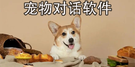 寵物對(duì)話軟件