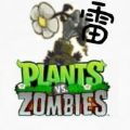 植物大戰(zhàn)僵尸雷