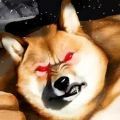 狗頭迷宮