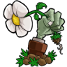 植物大戰(zhàn)僵尸網(wǎng)友自制版