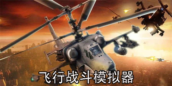 飛行戰(zhàn)斗模擬器