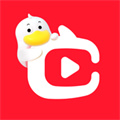 點(diǎn)淘淘寶直播iphone版