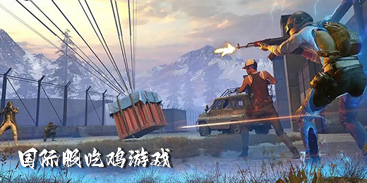 國際服吃雞游戲