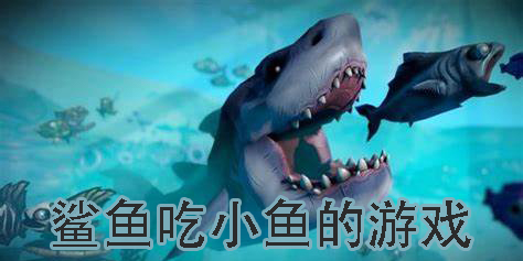 鯊魚吃小魚的游戲