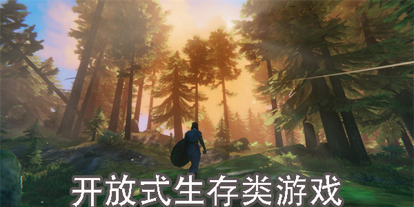 開放式生存類游戲
