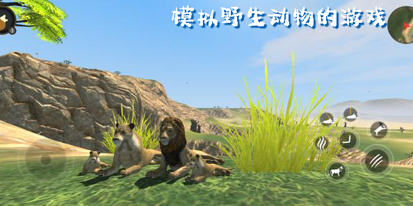 模擬野生動(dòng)物的游戲