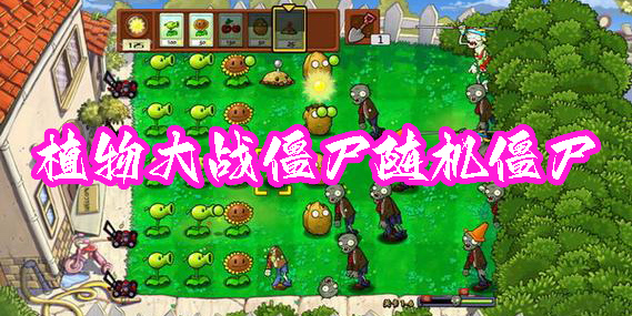 植物大戰(zhàn)僵尸隨機(jī)僵尸版本下載-植物大戰(zhàn)僵尸隨機(jī)僵尸版手機(jī)版大全