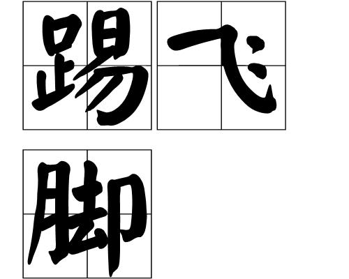 阜新踢飛腳