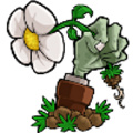 植物大戰(zhàn)僵尸e支寫實版