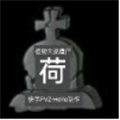 植物大戰(zhàn)僵尸荷版