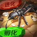 蟻?zhàn)遽绕鹁庞伟? width=