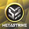 Meta突襲