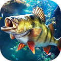 歡樂釣魚大師安卓版