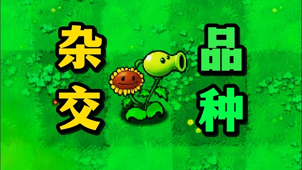 pvz雜交版