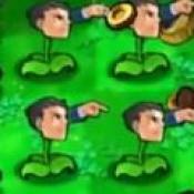 植物大戰(zhàn)僵尸神金版PC版