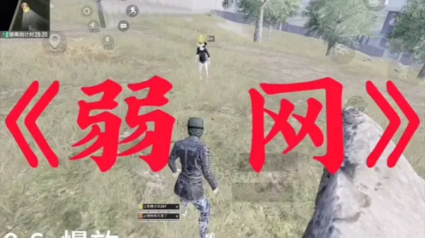 弱網軟件