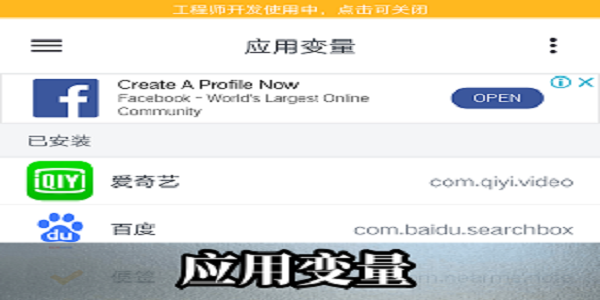 應(yīng)用變量
