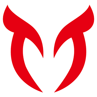 貓頭鷹教育