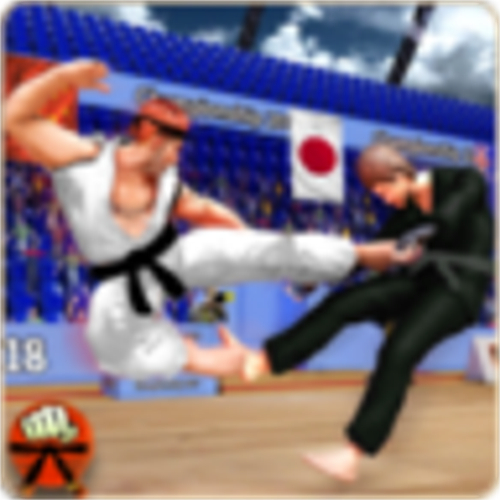 空手道格斗戰(zhàn)士