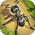螞蟻王者大冒險手機版