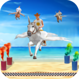 飛行賽馬模擬器