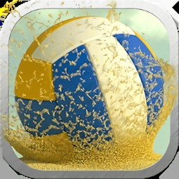 瘋狂排球3d