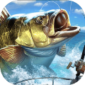 釣魚大亨最新版