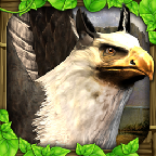 獅鷲模擬器(griffin sim)內(nèi)購修改版