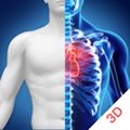 3d人體解剖學(xué)三維圖譜app