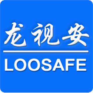 龍視安監(jiān)控軟件(LS)