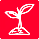 紅豆苗app