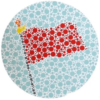 小馬色盲檢測app