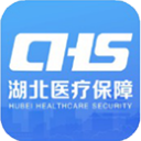 湖北智慧醫(yī)保服務平臺