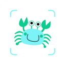 看魚(yú)官方版