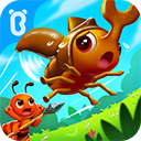 寶寶認(rèn)螞蟻