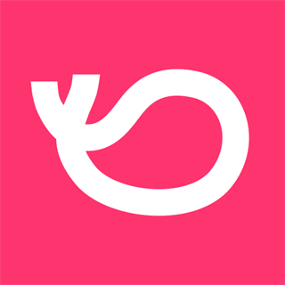 灰豚數(shù)據(jù)app